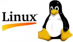 9 Must Have Online Linux Terminal Emulator for Practice