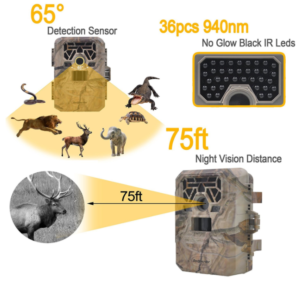 6 Best Cellular Trail Cameras for Hunting, Wildlife & Night Pictures