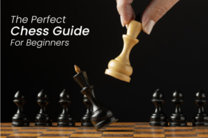 The Perfect Chess Guide For Beginners
